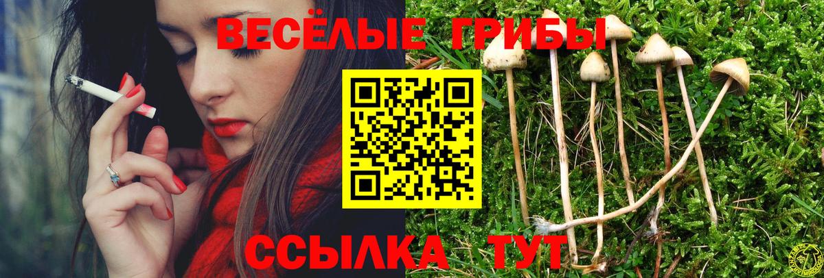 Галлюциногенные грибы MAGIC MUSHROOMS  Галлюциногенные грибы MAGIC MUSHROOMS  Вологда  Вход с VPN 