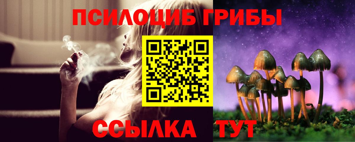 Псилоцибиновые грибы прущие грибы Вологда